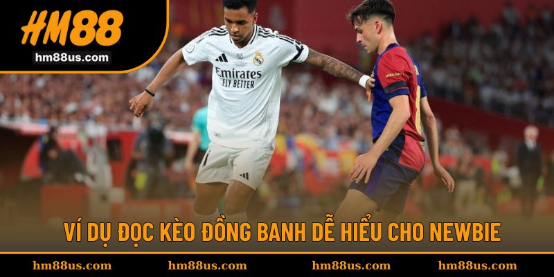 Hướng dẫn đọc và ví dụ dễ hiểu cho kèo